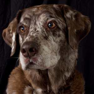 Meet your Posher, Gena